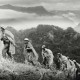 Phân tích bài thơ Tây Tiến của Quang Dũng